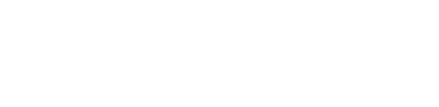O Analista de Modelos de Negócios - Business Model Canvas